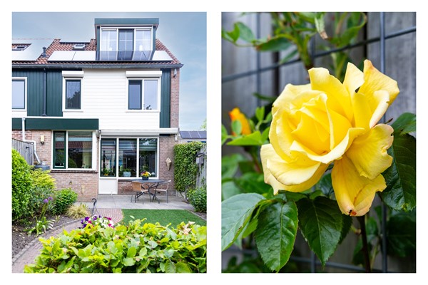 Tuin 5.jpg